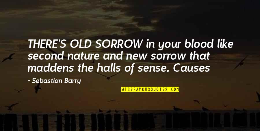 Sorrow'd Quotes By Sebastian Barry: THERE'S OLD SORROW in your blood like second