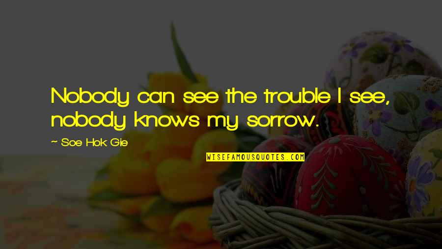 Sorrow'd Quotes By Soe Hok Gie: Nobody can see the trouble I see, nobody