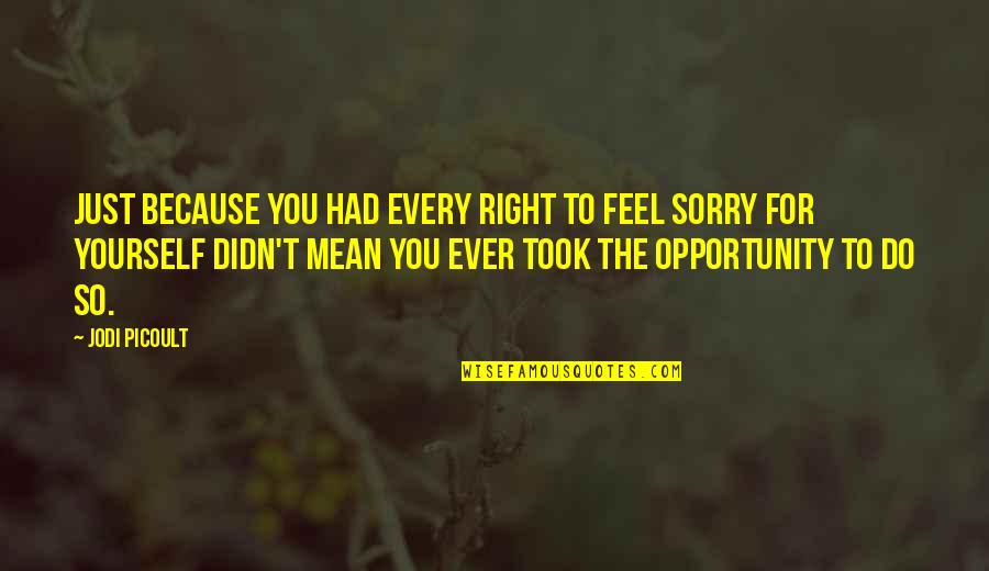 Sorry Feel Quotes By Jodi Picoult: Just because you had every right to feel