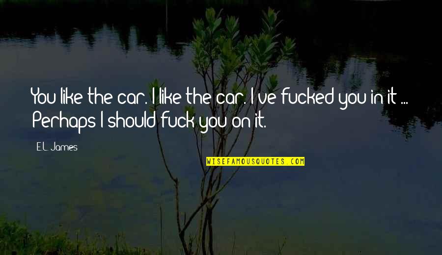 Sorry For Being Stupid Quotes By E.L. James: You like the car. I like the car.