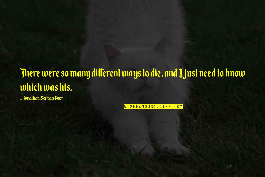 Sorry For Moaning Quotes By Jonathan Safran Foer: There were so many different ways to die,