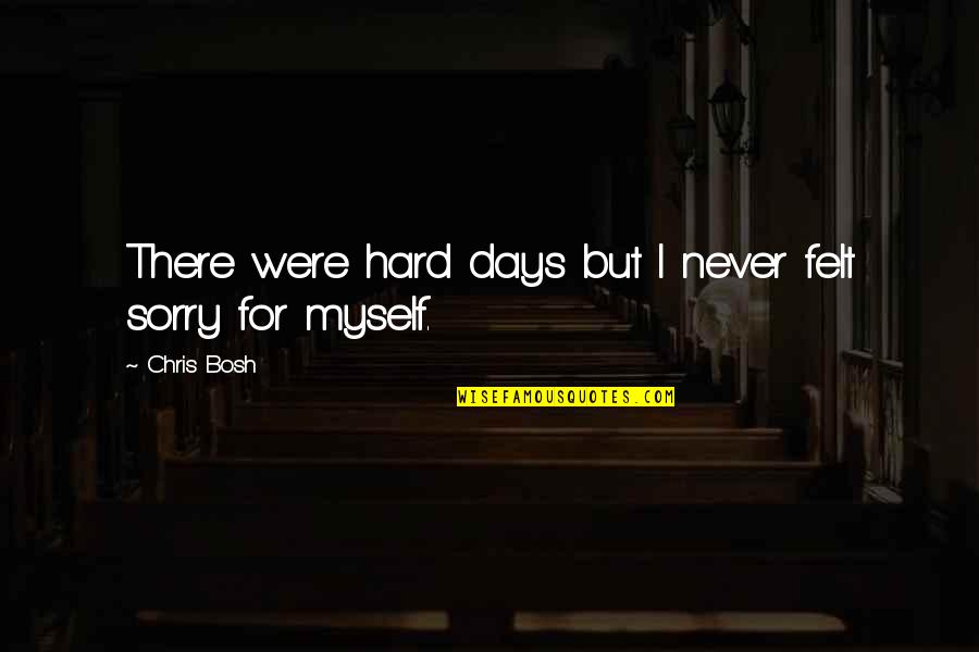 Sorry For Myself Quotes By Chris Bosh: There were hard days but I never felt