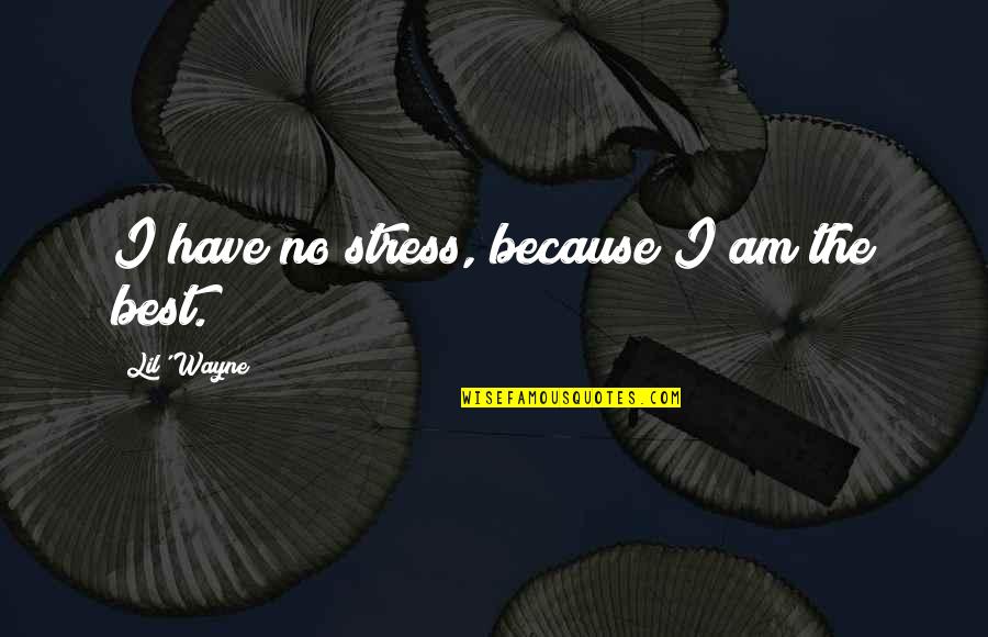 Sorry For Ruining Your Life Quotes By Lil' Wayne: I have no stress, because I am the