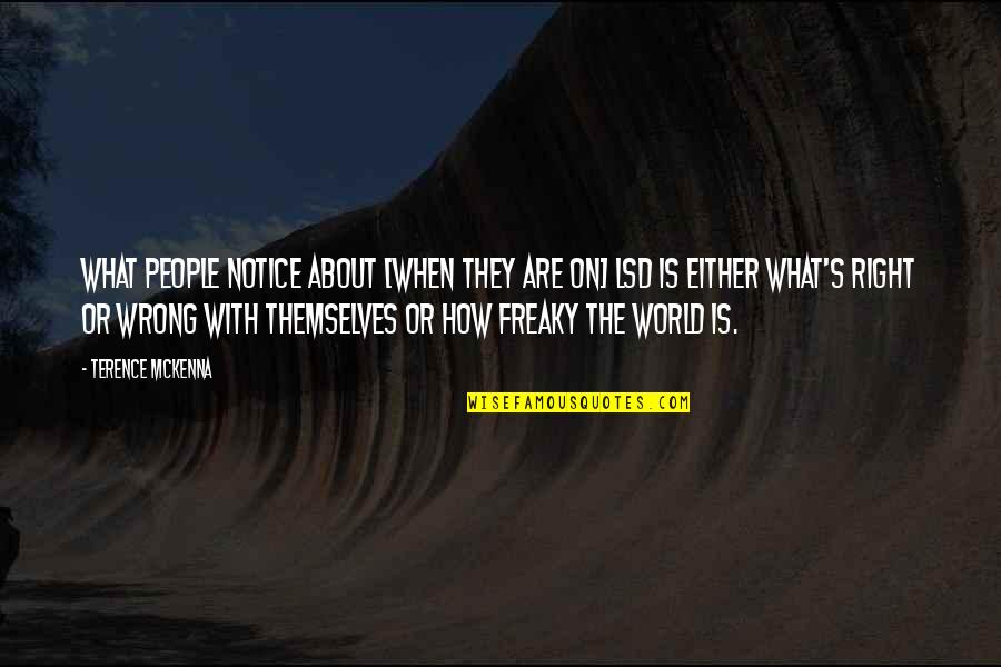 Sorry I Broke Your Trust Quotes By Terence McKenna: What people notice about [when they are on]