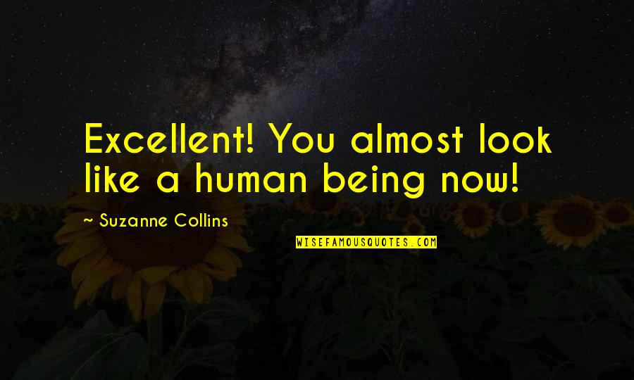 Sorry I Can't Please Everyone Quotes By Suzanne Collins: Excellent! You almost look like a human being