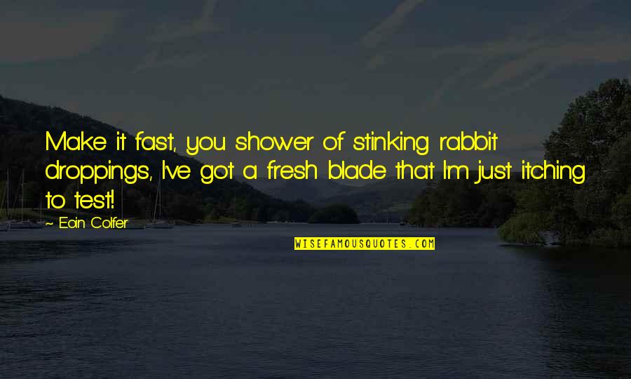 Sorry I Rejected You Quotes By Eoin Colfer: Make it fast, you shower of stinking rabbit