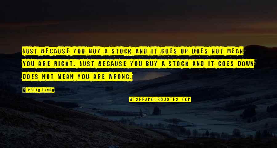 Sorry Na Kasi Quotes By Peter Lynch: Just because you buy a stock and it