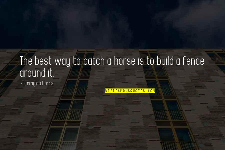 Sorry Sms Quotes By Emmylou Harris: The best way to catch a horse is