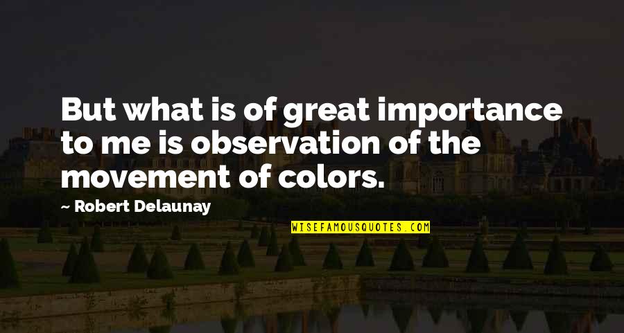 Sorry We Fought Quotes By Robert Delaunay: But what is of great importance to me