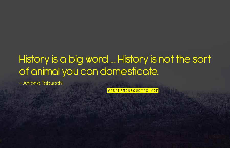 Sort The Quotes By Antonio Tabucchi: History is a big word ... History is