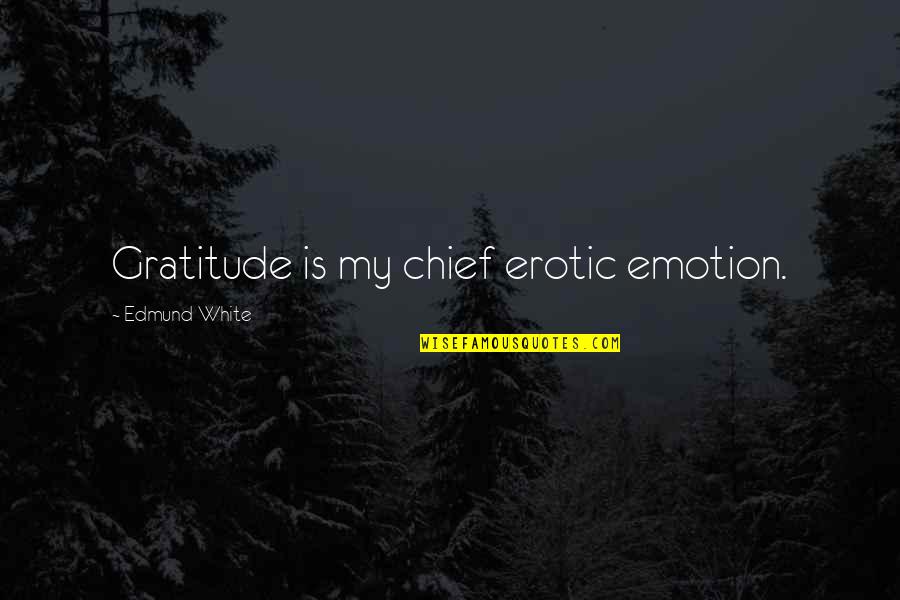 Sorta Awesome Quotes By Edmund White: Gratitude is my chief erotic emotion.