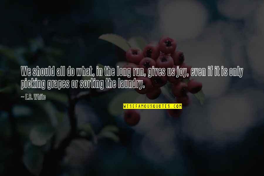 Sorting In C Quotes By E.B. White: We should all do what, in the long Sorting In C Quotes By E.B. White: We should all do what, in the long