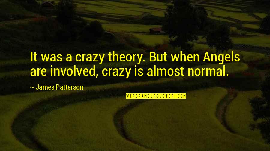 Sorting Life Out Quotes By James Patterson: It was a crazy theory. But when Angels