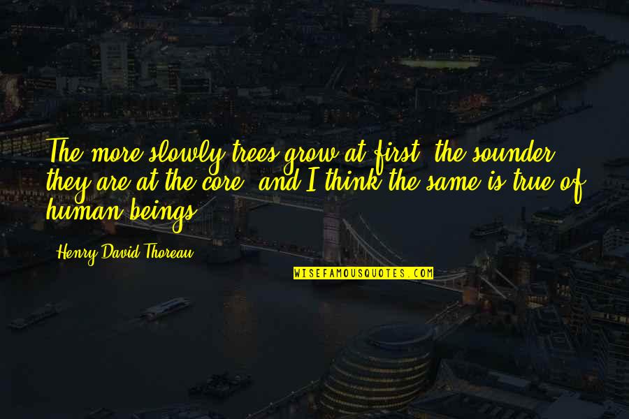 Soryong Dong Quotes By Henry David Thoreau: The more slowly trees grow at first, the Soryong Dong Quotes By Henry David Thoreau: The more slowly trees grow at first, the