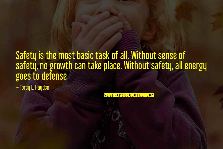 Soterrada Significado Quotes By Torey L. Hayden: Safety is the most basic task of all.