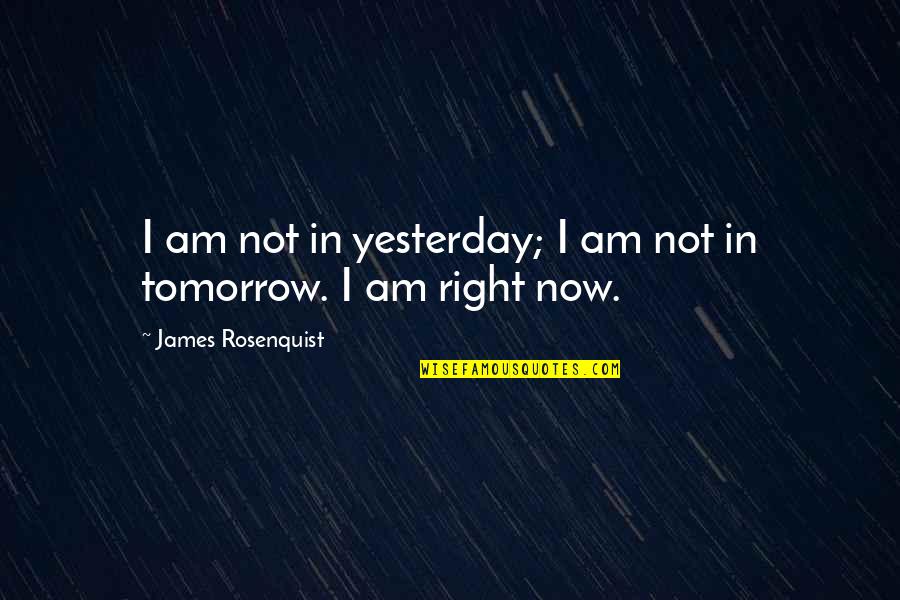 Sotomayor Wise Latina Quotes By James Rosenquist: I am not in yesterday; I am not