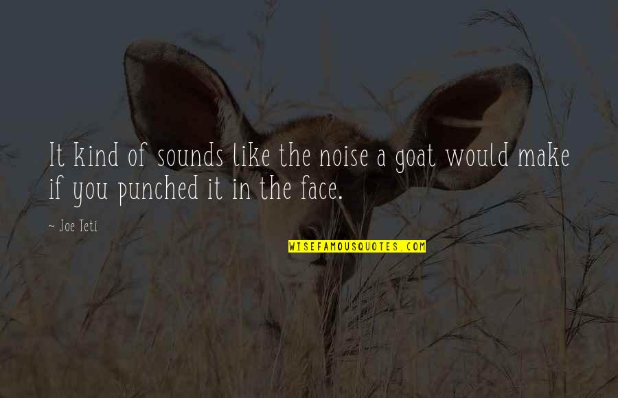Sottle Hearthstone Quotes By Joe Teti: It kind of sounds like the noise a