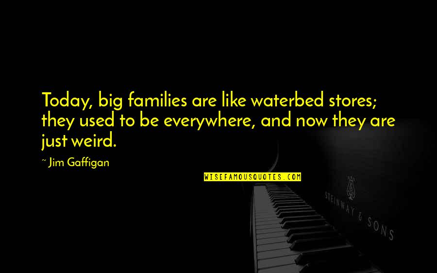 Soucitnost Quotes By Jim Gaffigan: Today, big families are like waterbed stores; they Soucitnost Quotes By Jim Gaffigan: Today, big families are like waterbed stores; they