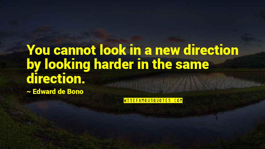 Soudabeh Rahmankhah Quotes By Edward De Bono: You cannot look in a new direction by