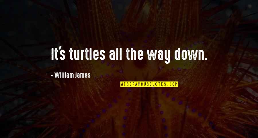 Souhaiter Synonyme Quotes By William James: It's turtles all the way down.