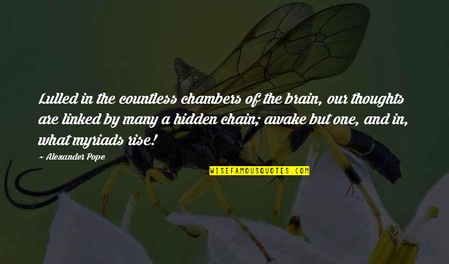 Soukas Sun Quotes By Alexander Pope: Lulled in the countless chambers of the brain, Soukas Sun Quotes By Alexander Pope: Lulled in the countless chambers of the brain,