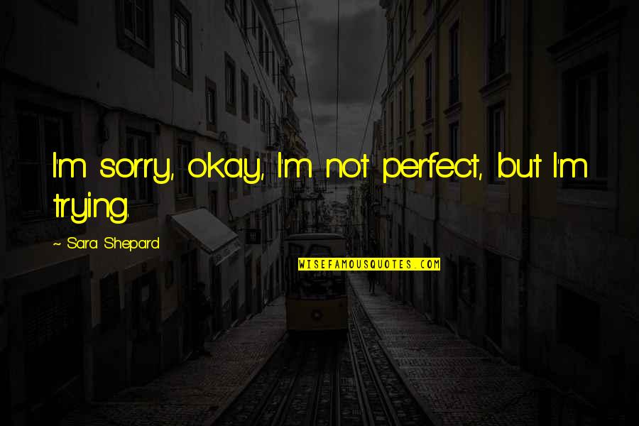 Soukup Real Estate Quotes By Sara Shepard: I'm sorry, okay, I'm not perfect, but I'm