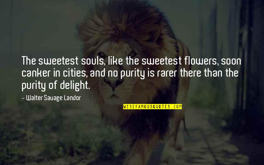 Soul And Quotes By Walter Savage Landor: The sweetest souls, like the sweetest flowers, soon