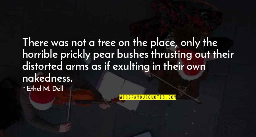 Soul Binding Quotes By Ethel M. Dell: There was not a tree on the place, Soul Binding Quotes By Ethel M. Dell: There was not a tree on the place,