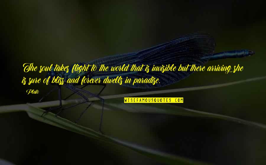 Soul Bliss Quotes By Plato: The soul takes flight to the world that