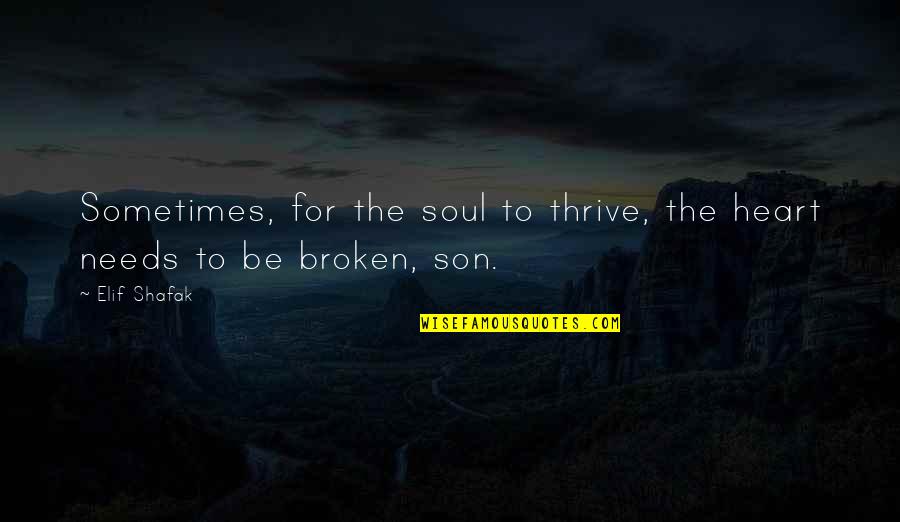 Soul Broken Quotes By Elif Shafak: Sometimes, for the soul to thrive, the heart