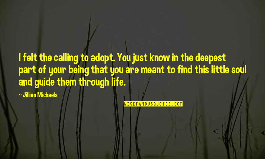 Soul Calling Quotes By Jillian Michaels: I felt the calling to adopt. You just