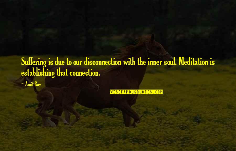 Soul Connection Quotes By Amit Ray: Suffering is due to our disconnection with the