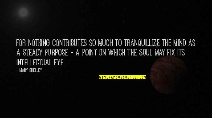 Soul Eye Quotes By Mary Shelley: For nothing contributes so much to tranquillize the
