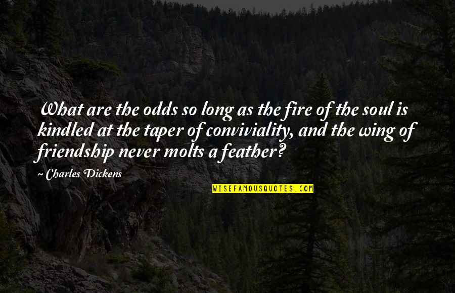 Soul Fire Quotes By Charles Dickens: What are the odds so long as the