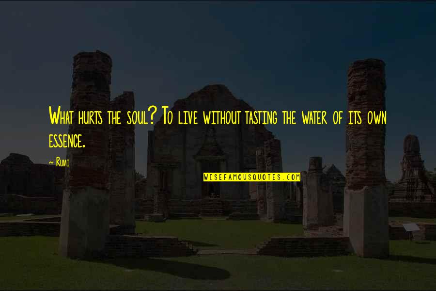 Soul Hurt Quotes By Rumi: What hurts the soul? To live without tasting