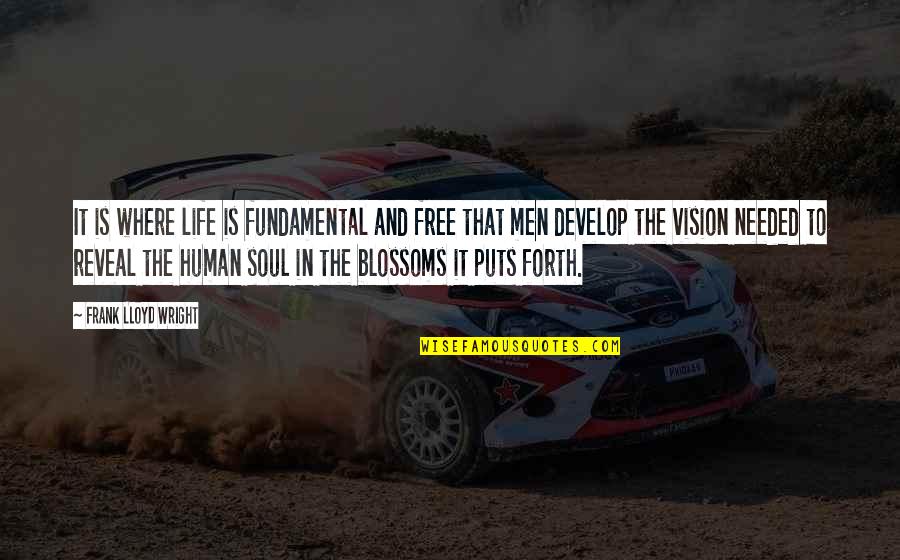 Soul Is Free Quotes By Frank Lloyd Wright: It is where life is fundamental and free Soul Is Free Quotes By Frank Lloyd Wright: It is where life is fundamental and free