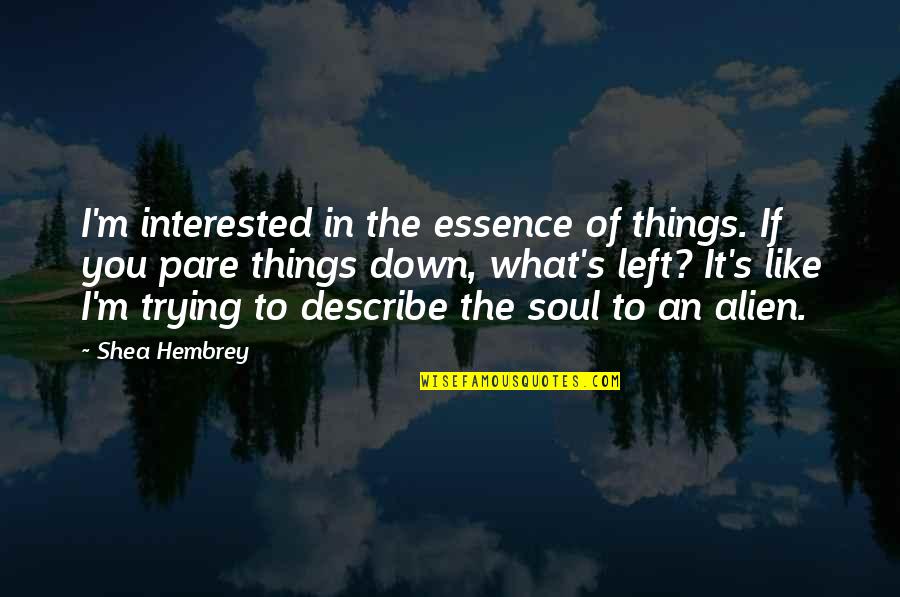 Soul Left Quotes By Shea Hembrey: I'm interested in the essence of things. If
