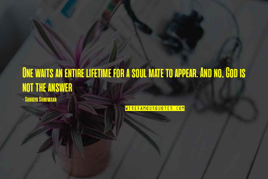 Soul Mate Quotes Quotes By Srividya Srinivasan: One waits an entire lifetime for a soul