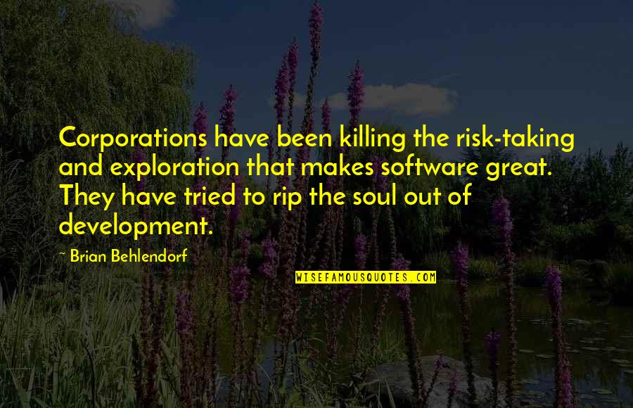 Soul Out Of Quotes By Brian Behlendorf: Corporations have been killing the risk-taking and exploration