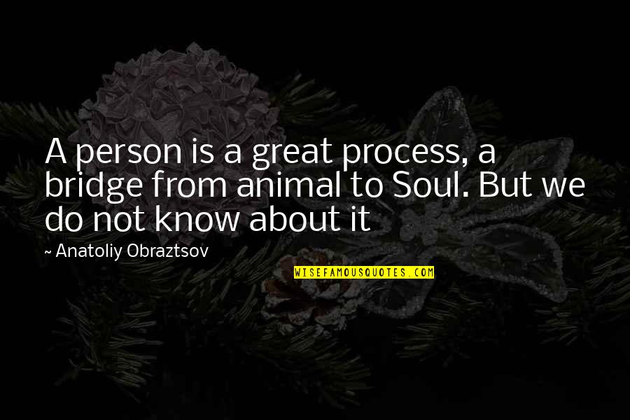 Soul Person Quotes By Anatoliy Obraztsov: A person is a great process, a bridge Soul Person Quotes By Anatoliy Obraztsov: A person is a great process, a bridge