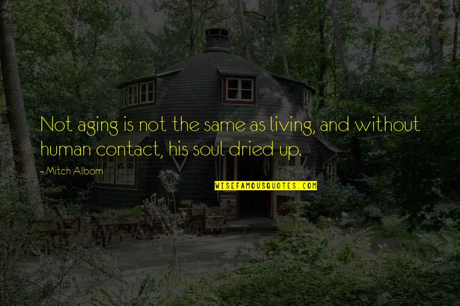 Soul Quotes By Mitch Albom: Not aging is not the same as living,