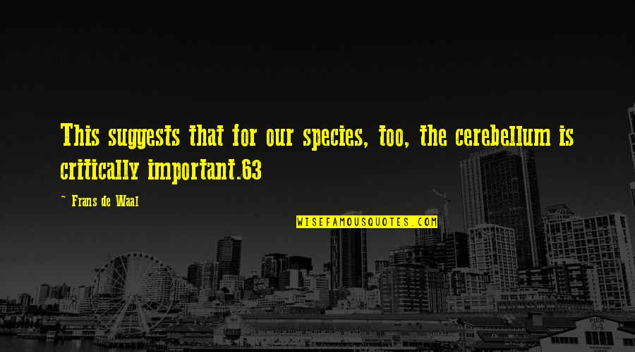 Soul Rest In Peace Quotes By Frans De Waal: This suggests that for our species, too, the