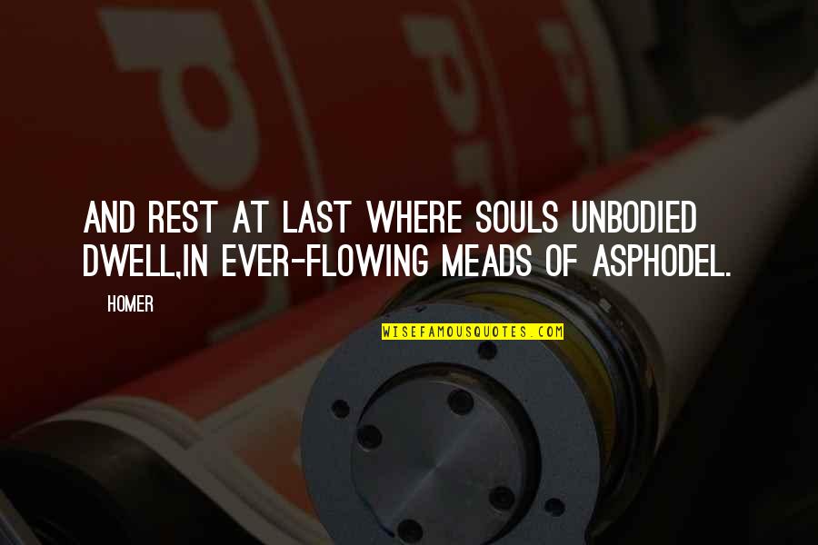 Soul Rest Quotes By Homer: And rest at last where souls unbodied dwell,In