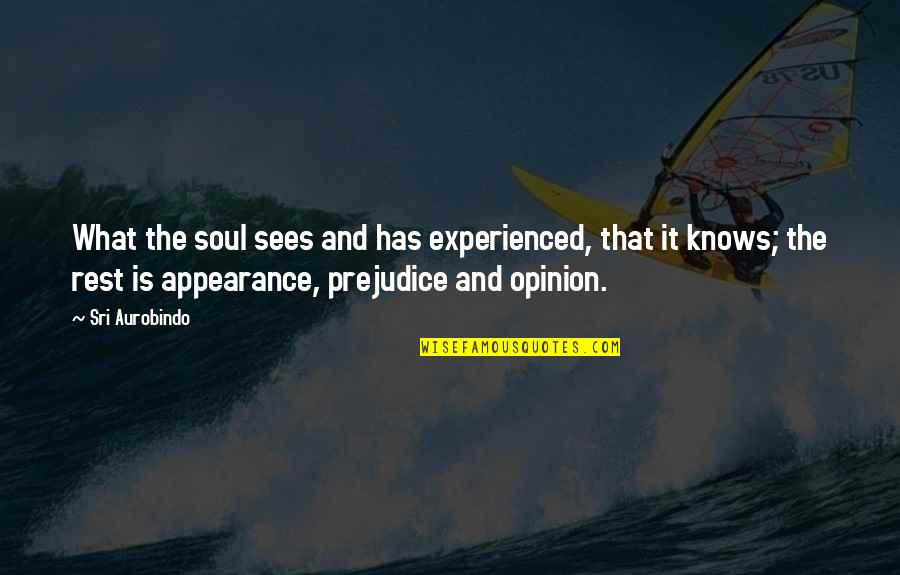 Soul Rest Quotes By Sri Aurobindo: What the soul sees and has experienced, that Soul Rest Quotes By Sri Aurobindo: What the soul sees and has experienced, that