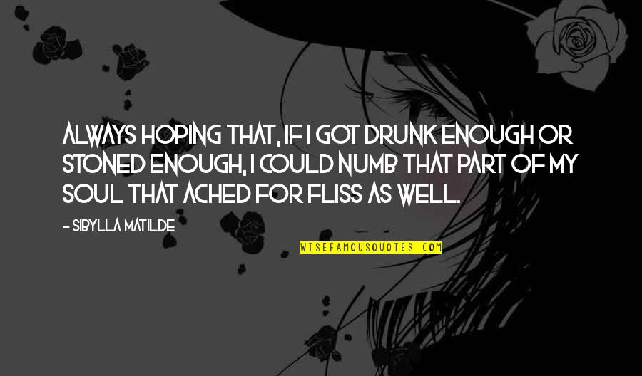 Soul S Well Quotes By Sibylla Matilde: Always hoping that, if I got drunk enough