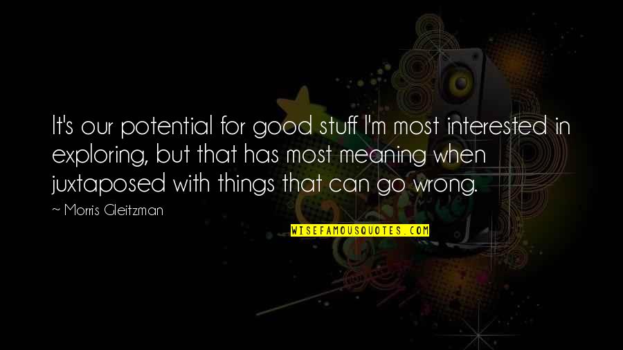 Soul Touching Quotes By Morris Gleitzman: It's our potential for good stuff I'm most