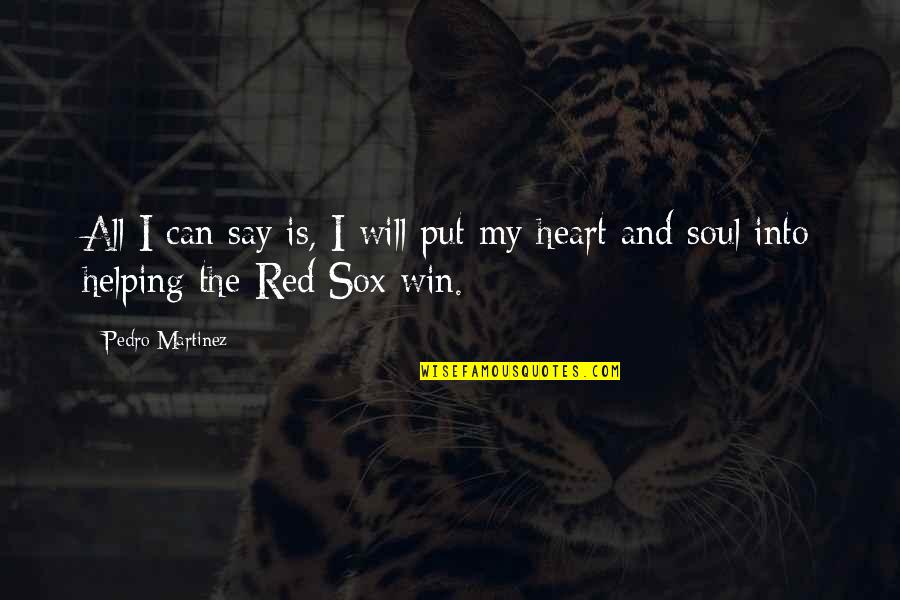 Soul Winning Quotes By Pedro Martinez: All I can say is, I will put