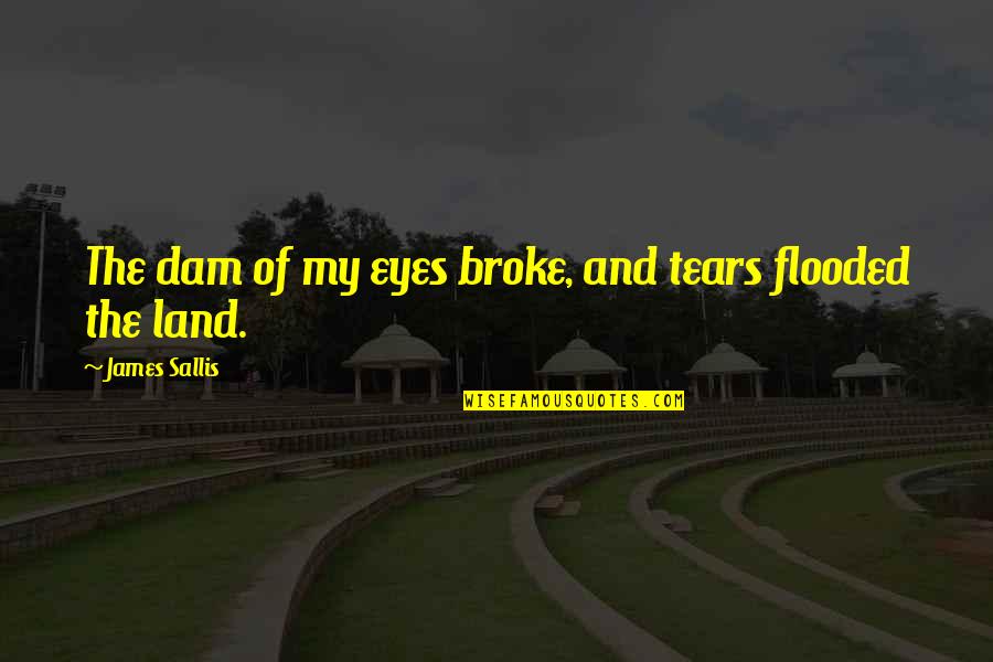 Soulistic Canned Quotes By James Sallis: The dam of my eyes broke, and tears Soulistic Canned Quotes By James Sallis: The dam of my eyes broke, and tears