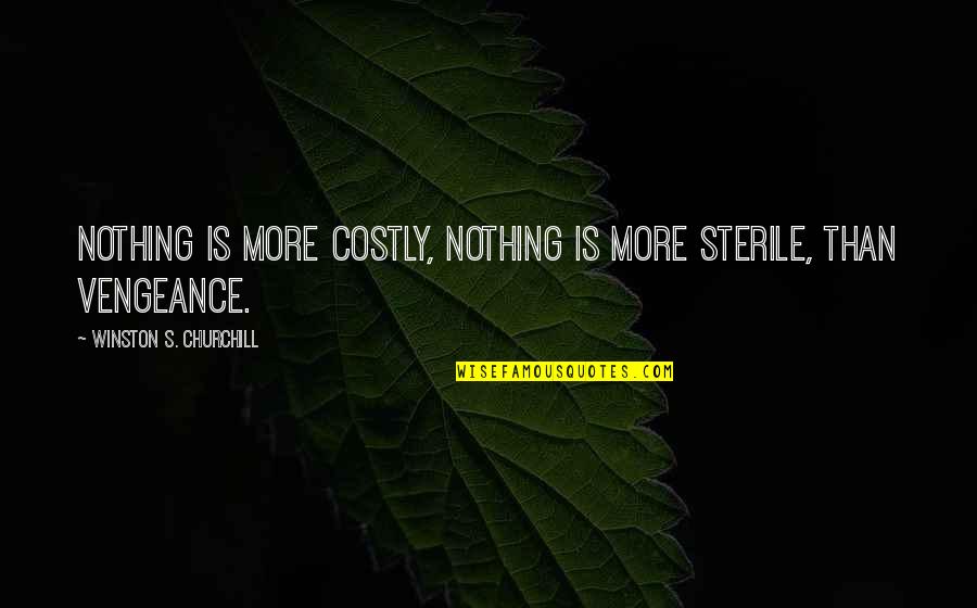 Soulkeeper Shadowlands Quotes By Winston S. Churchill: Nothing is more costly, nothing is more sterile,