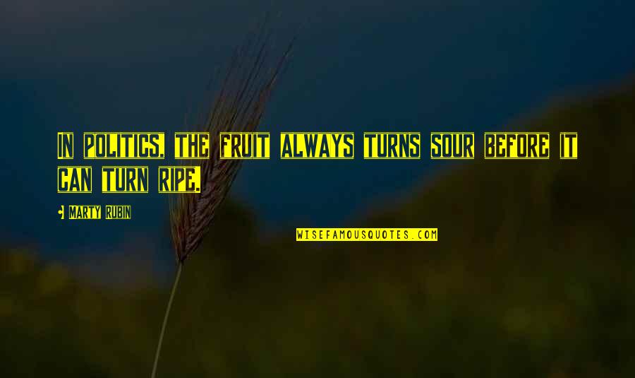 Soulrend Quotes By Marty Rubin: In politics, the fruit always turns sour before